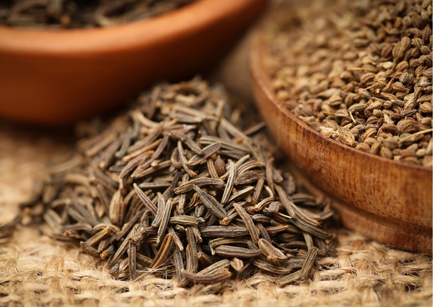 Caraway Essential Oil